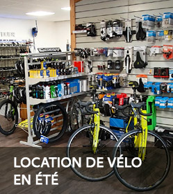 Location vélo Arvieux